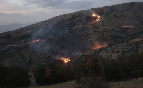 אימון צה"ל| תחמושת גרמה לנזק כבד בשמורת חרמון