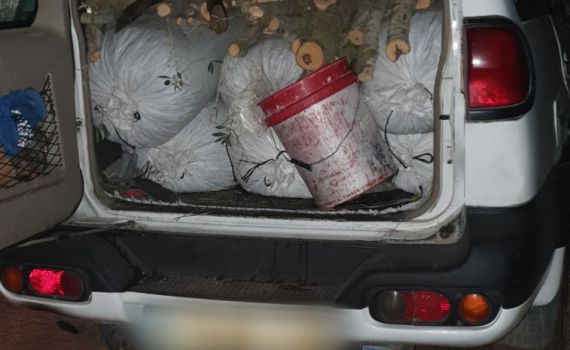 זוג מעראבה נתפס גונב 300 ק"ג זיתים מחקלאים יהודים