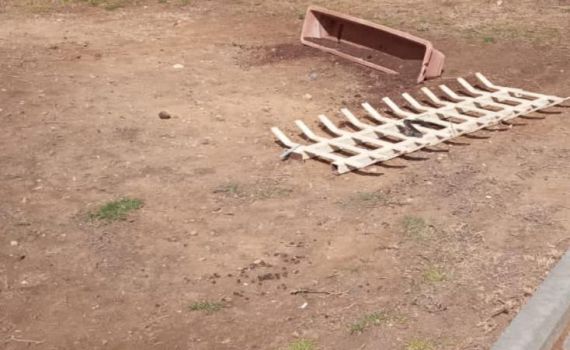 טרגדיה: בת 23 נשענה על סורגים וצנחה אל מותה