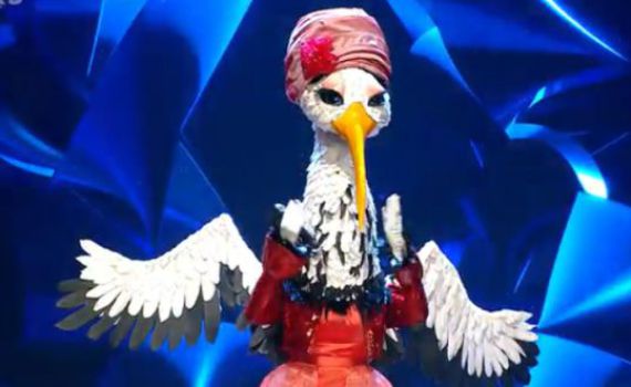 צפו: הדמות המפתיעה מאחורי החסידה – נחשפה