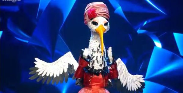 צפו: הדמות המפתיעה מאחורי החסידה – נחשפה