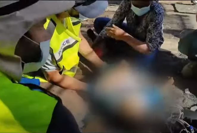 מזעזע: תנין בחוות תנינים נשך פעוט, מצבו קשה