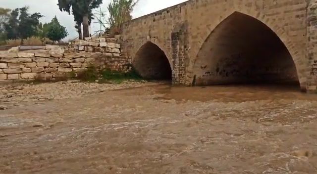 צפו: זרימה חזקה בנחל לכיש באזור גשר עד הלום