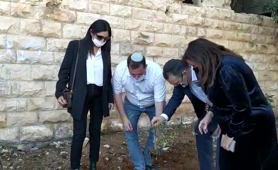 צפו: הח"כים וראש מועצת שומרון נוטעים עץ בשא-נור