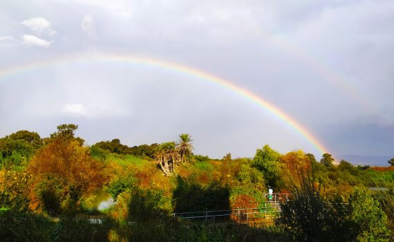 מרהיב: קשת מלאה כפולה מעל שמורת עין אפק