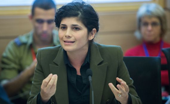 שרן השכל מסבירה: "ידעתי שהצעת החוק תדחה"