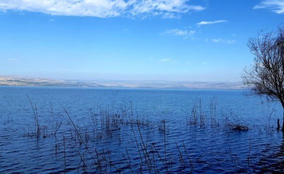 אחרי לילה גשום: מפלס הכנרת בעוד עליה נאה