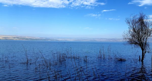 אחרי לילה גשום: מפלס הכנרת בעוד עליה נאה