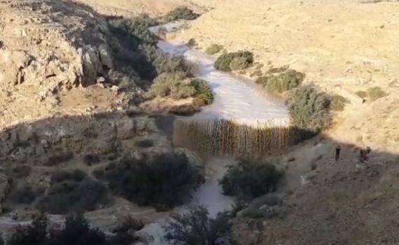 אחרי לילה גשום | זרימה אדירה בנחלי הדרום. צפו