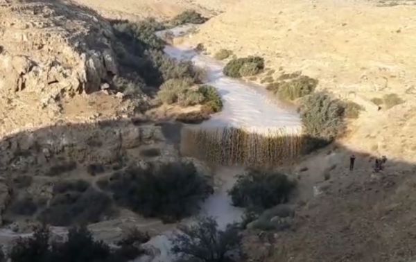 אחרי לילה גשום | זרימה אדירה בנחלי הדרום. צפו