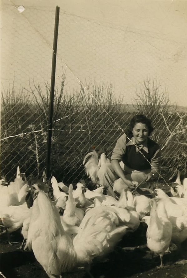 יומניה האישיים של חנה סנש יועלו בקרוב לרשת