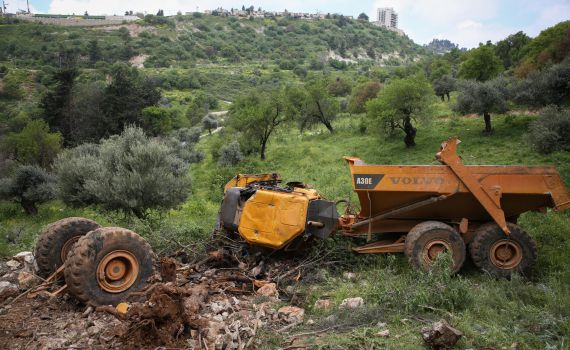 משרד החקלאות מתריע: "שנת השמיטה בסכנה"