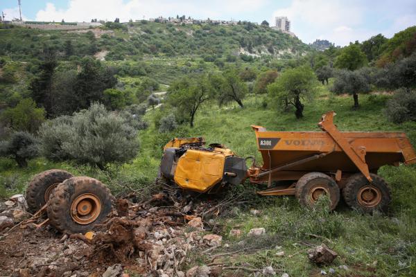 משרד החקלאות מתריע: "שנת השמיטה בסכנה"