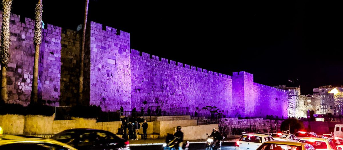 ירושלים תואר בסגול למען ילדים עם מוגבלויות