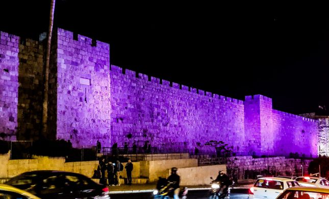  ירושלים תואר בסגול למען ילדים עם מוגבלויות