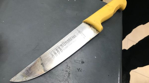 פוענח: בן 14 מחורה רצח את אחותו לעיניי ילדיה