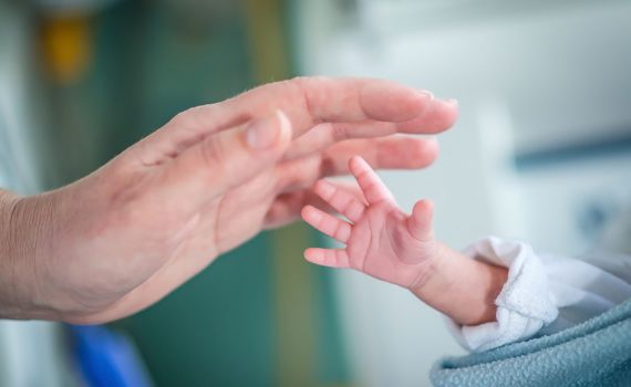 גוזל שנפל מן הקן: להביא פג לעולם | טור אישי