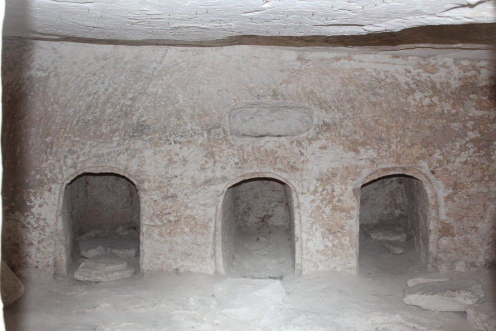 חרבת בורגין – מתחת לאדמה ופריחה משגעת