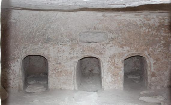 חרבת בורגין – מתחת לאדמה ופריחה משגעת