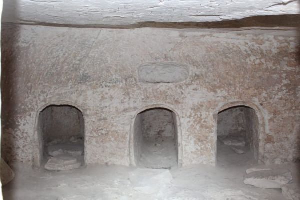 חרבת בורגין – מתחת לאדמה ופריחה משגעת