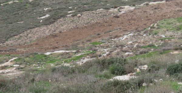 ביקורת חריפה על המחטף הערבי ליד גבעת קומי אורי