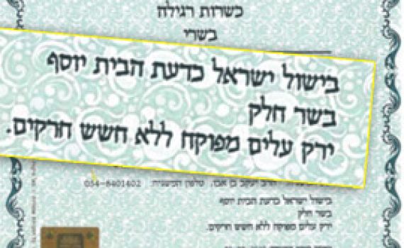 כושרות על הכשרות בחיפה: "אסור לטייח את הביקורת"