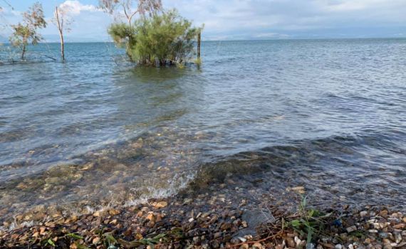 לא עוצר: מפלס הכנרת ממשיך לעלות