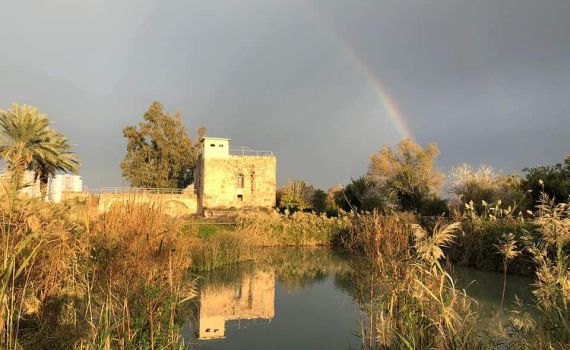 האגמים התמלאו, השמש זורחת: צאו לטייל בעין אפק