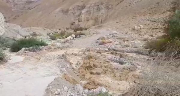 תוך שניות | מרהיב: כך מתחיל שטפון. צפו