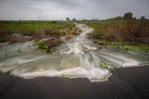 עלייה בטמפ'; גשם, שלג ושטפונות: תחזית מזג אוויר