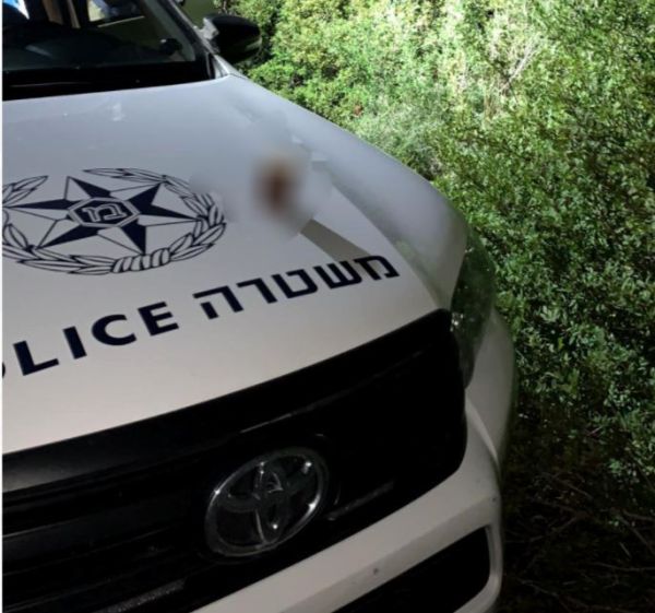 חשד לרצח: תושבת השומרון יצאה לריצה ונמצאה מתה ביער