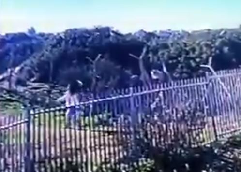 צפו: התיעוד האחרון של אסתר הורגן לפני הרצח