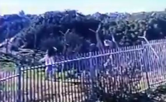 צפו: התיעוד האחרון של אסתר הורגן לפני הרצח