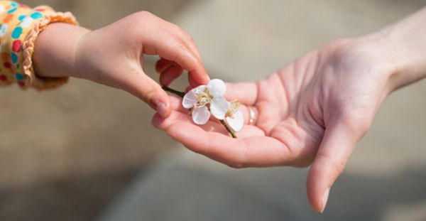 מרגש: תמיכה חוצה מגזרים באלישבע הכלה