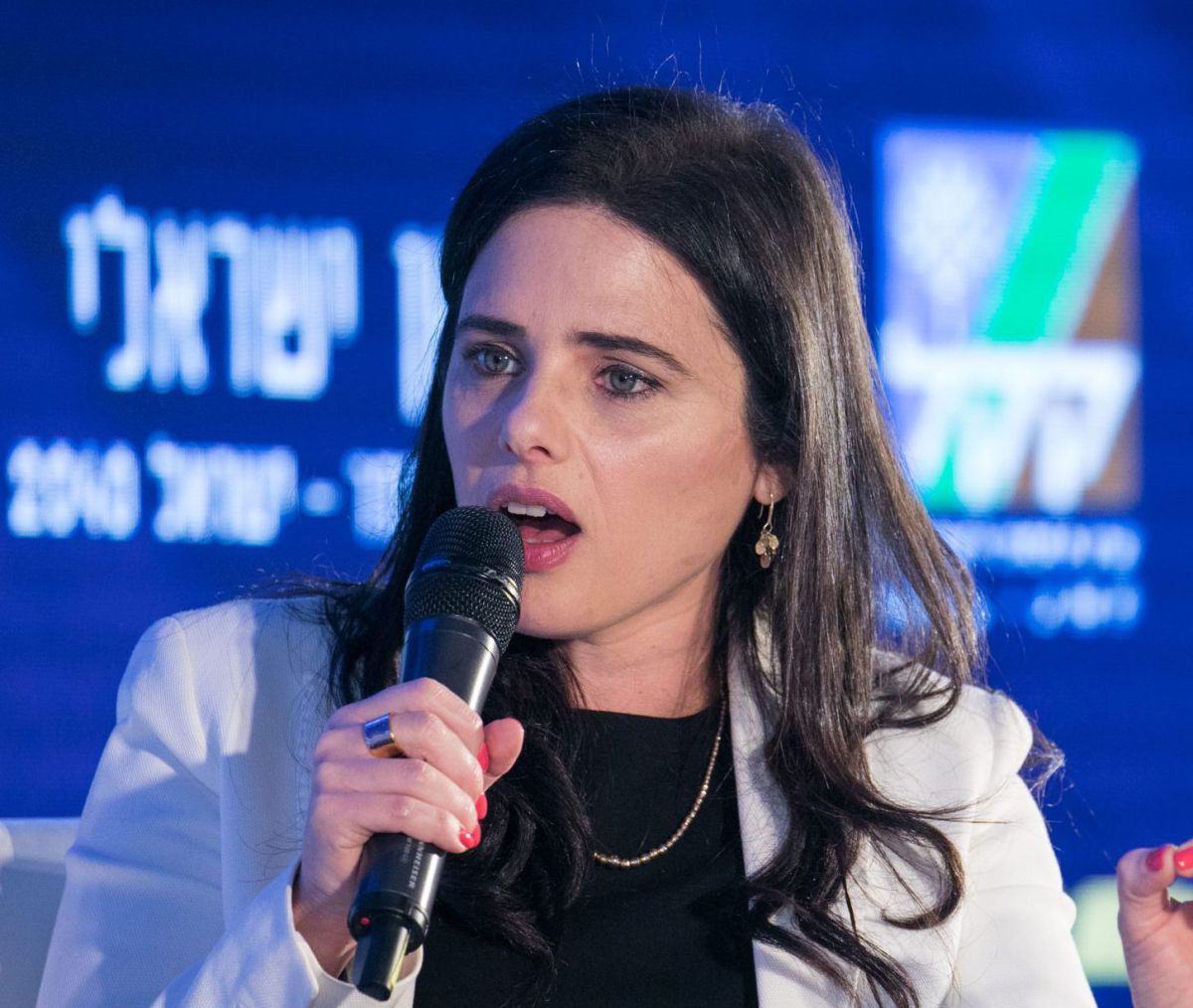 איילת שקד: מדינת היהודים? תלוי בבית המשפט