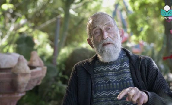 צפו: ניצול השואה הסרוג שמגדל עצים ייחודיים בביתו