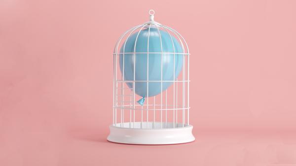 58 שניות על יצירתיות עם שירצור: פרק שני