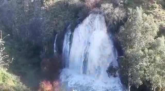 צפו: זרימות אדירות במפלי הצפון ובנחלי מדבר יהודה