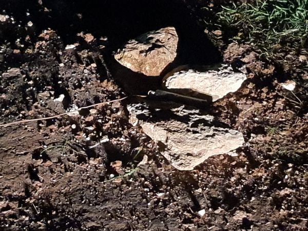 כמו בלבנון: מטען ממולכד ליד חוות הבודדים בשומרון