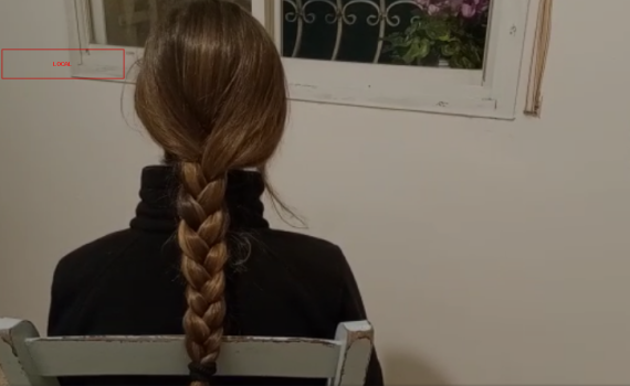 נערה מאשימה: שוטרים הטרידו אותי מינית בהפגנה