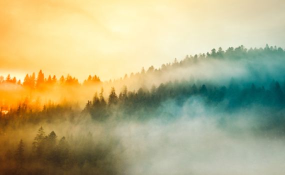 חום, רוחות וערפל; ומה עם הגשם? תחזית מזג האוויר