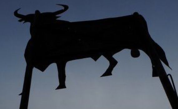 מזווית אחרת: ספר 'שמות' בתמונות מרהיבות