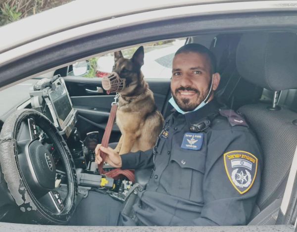 צפו: כך הוחזרה הכלבה של השחקן שלמה וישינסקי