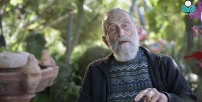 צפו: ניצול השואה הסרוג שמגדל עצים ייחודיים בביתו