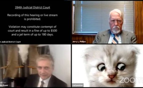 "אני לא חתול": טעות בבית המשפט קרעה את הרשת