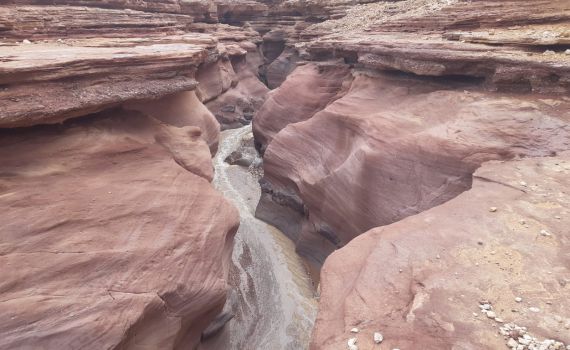 מרהיב: צפו בזרימה בקניון האדום בהרי אילת