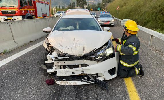 נמלט מהשוטרים, נסע נגד התנועה והתנגש חזיתית