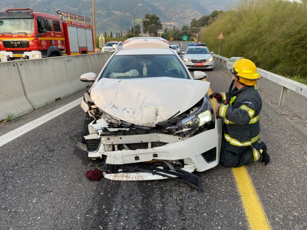 נמלט מהשוטרים, נסע נגד התנועה והתנגש חזיתית