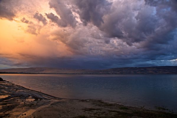 פרשת משפטים | "וּכְעֶצֶם הַשָּׁמַיִם לָטֹהַר"