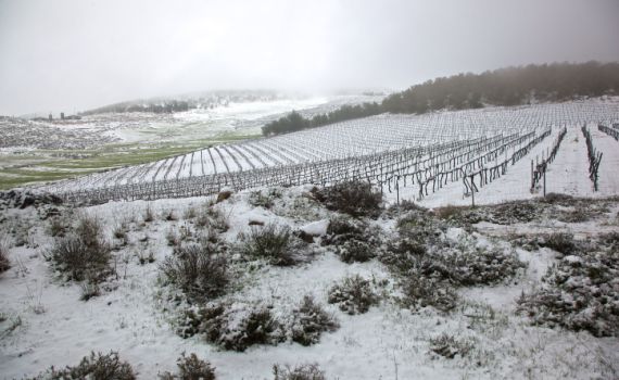 גשום וסוער; שלג בירושלים ובנגב: תחזית מזג אוויר
